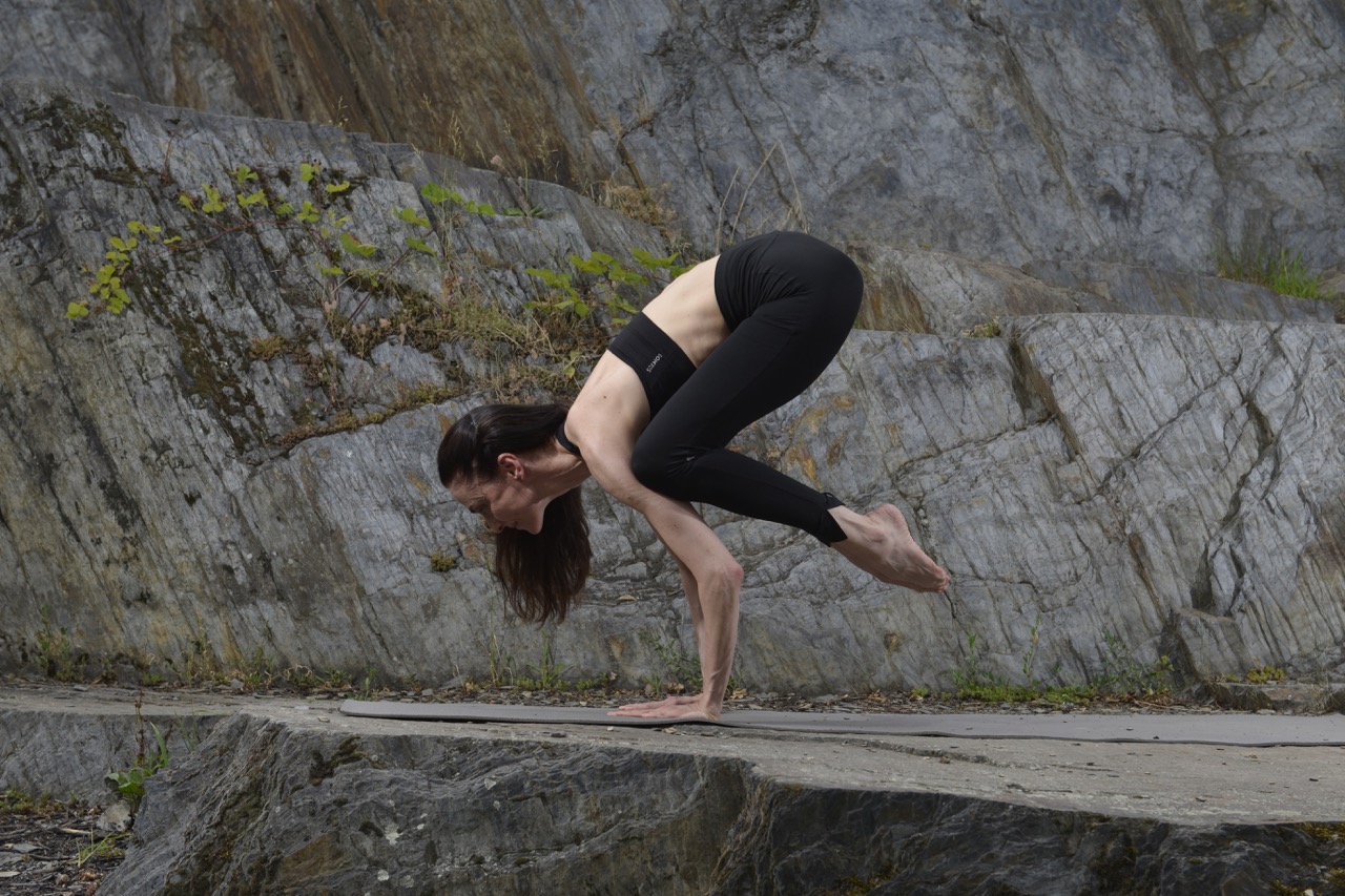 Bakasana – havran